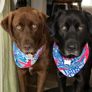 Meet your Posher, Jackie